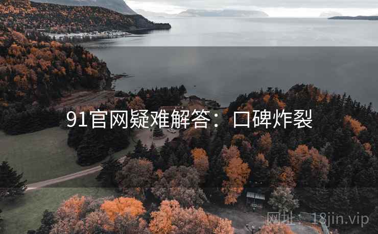 91官网疑难解答：口碑炸裂